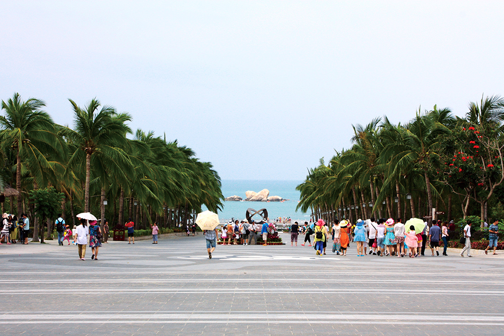 海角社区广场论坛，探索与交流的热门平台，海角社区广场论坛，探索与交流的热门平台聚集地