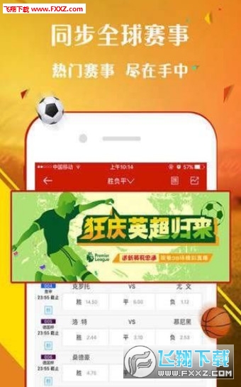 揭秘8414王中王一肖的神秘面纱，揭秘王中王一肖的神秘面纱，探寻背后的故事