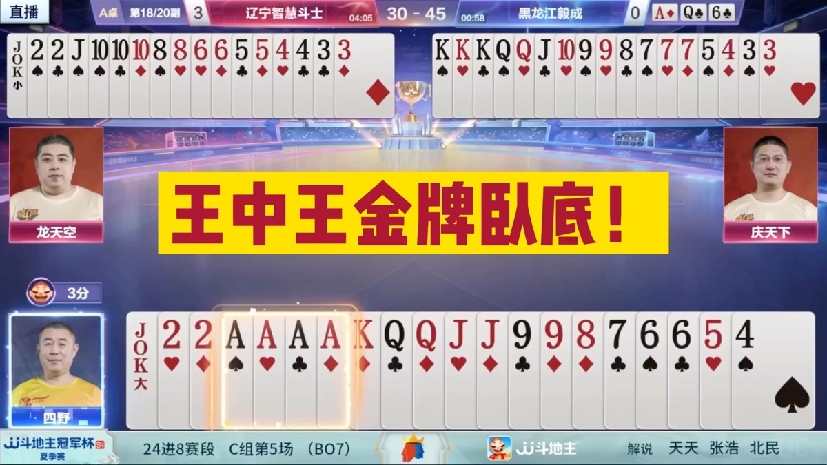 全年王中王一肖中特，深度解析与探索，全年王中王一肖深度解析与探索特辑
