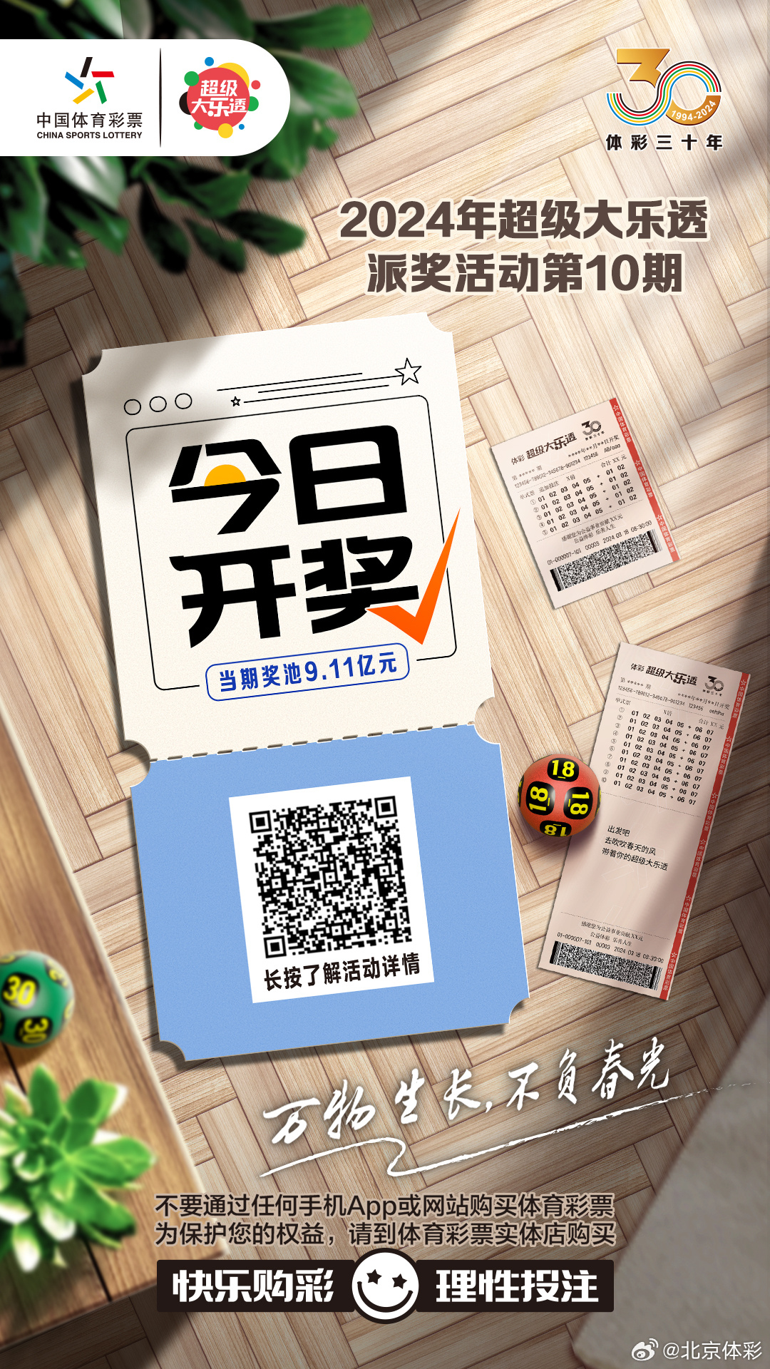 今日开码结果大揭秘，揭秘数字背后的秘密，今日开码结果揭秘，数字背后的秘密大解密