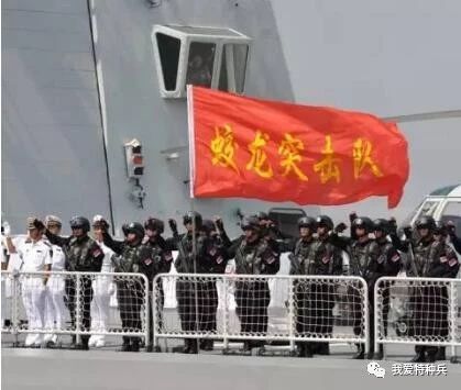 蛟龙突击队肩章，荣誉的象征与力量的体现，蛟龙突击队肩章，荣誉与力量的象征
