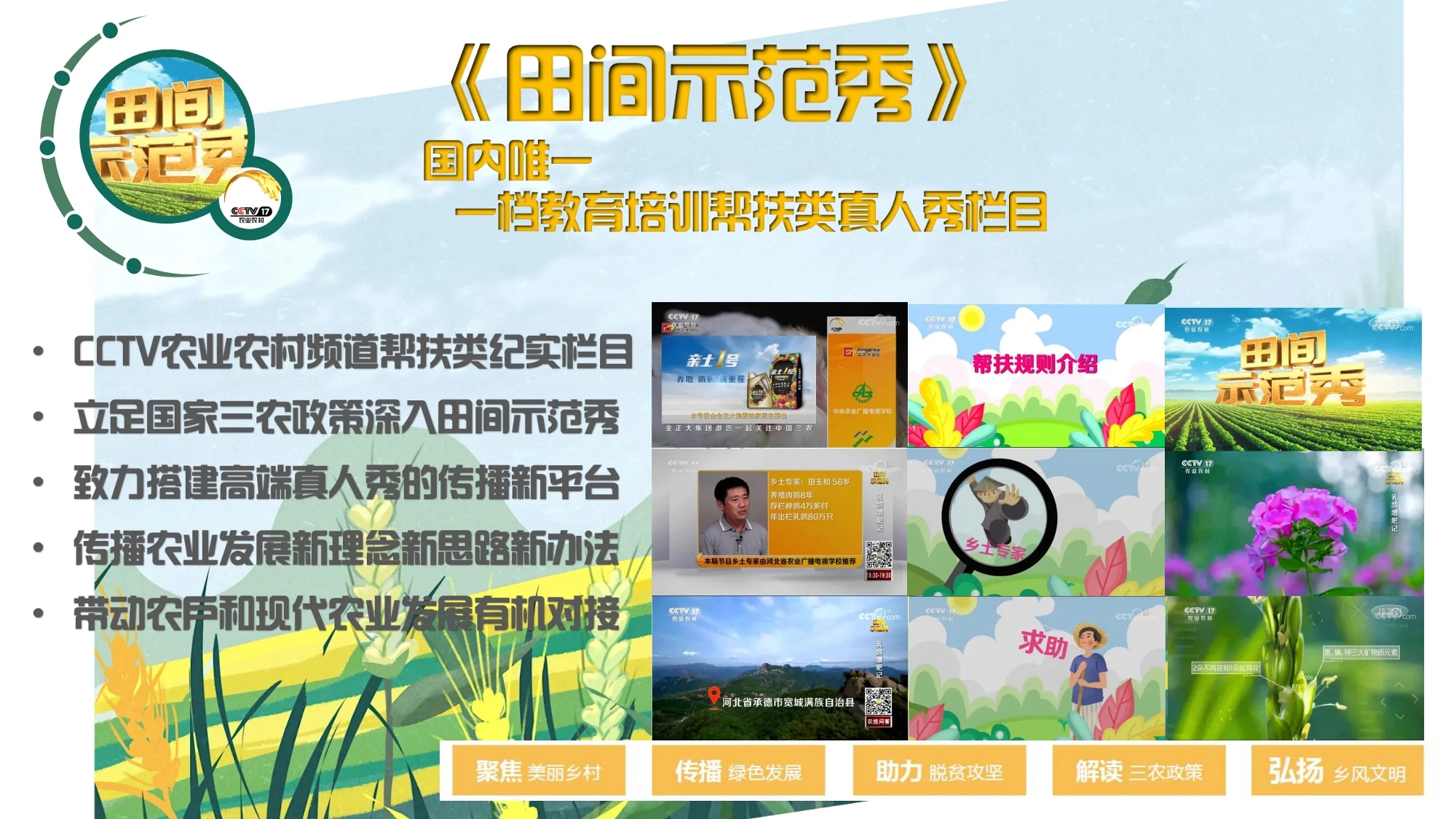 农业农村频道节目表，探索乡村发展的多彩舞台，农业农村频道节目表，探索乡村发展的多彩舞台展示