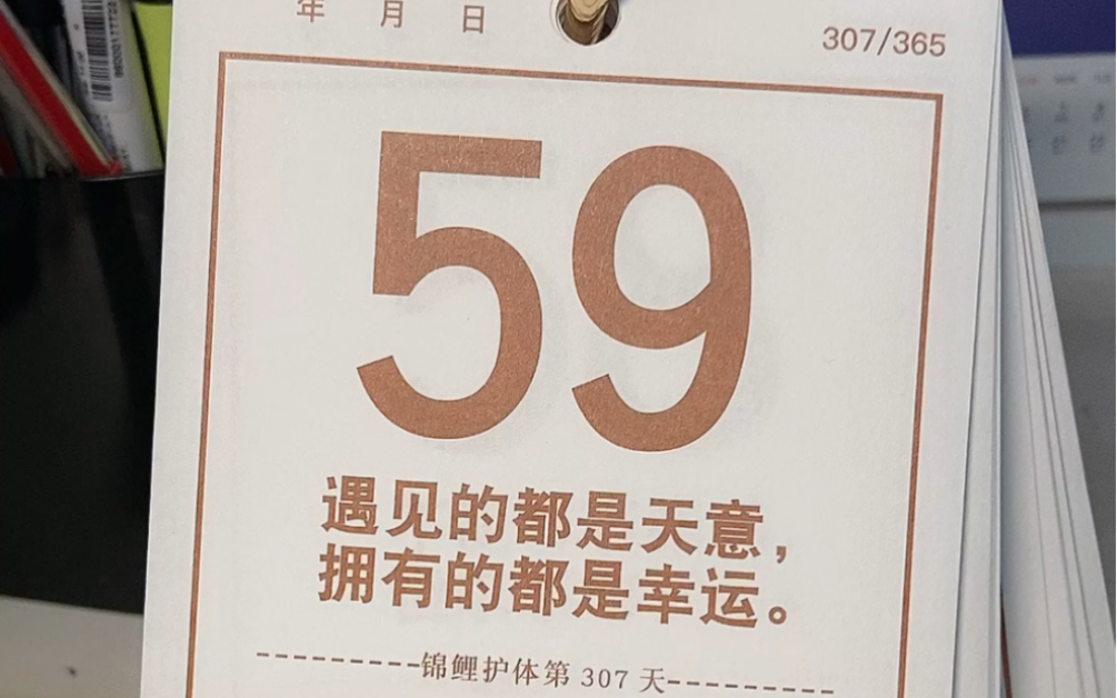 历时56天的探索与挑战，一段难忘的经历，历时56天的探索与挑战，难忘的人生历程