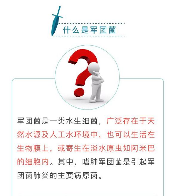 集团菌是什么，深入解析与理解，集团菌的深入解析与理解，概念、特性及作用探讨