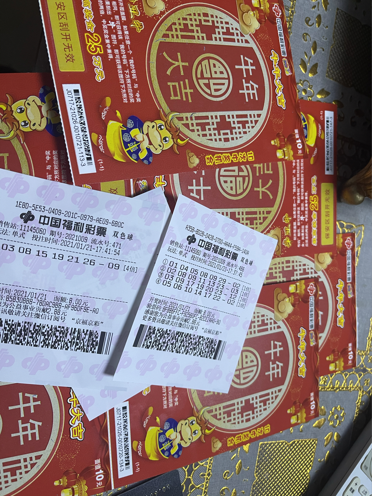 王中王春联平特一肖——探寻传统与现代的融合之美，王中王春联平特一肖，传统与现代的融合之美探索