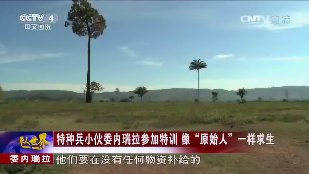 委内瑞拉猎人学校排名及其在教育领域的影响力，委内瑞拉猎人学校排名及教育影响力探究