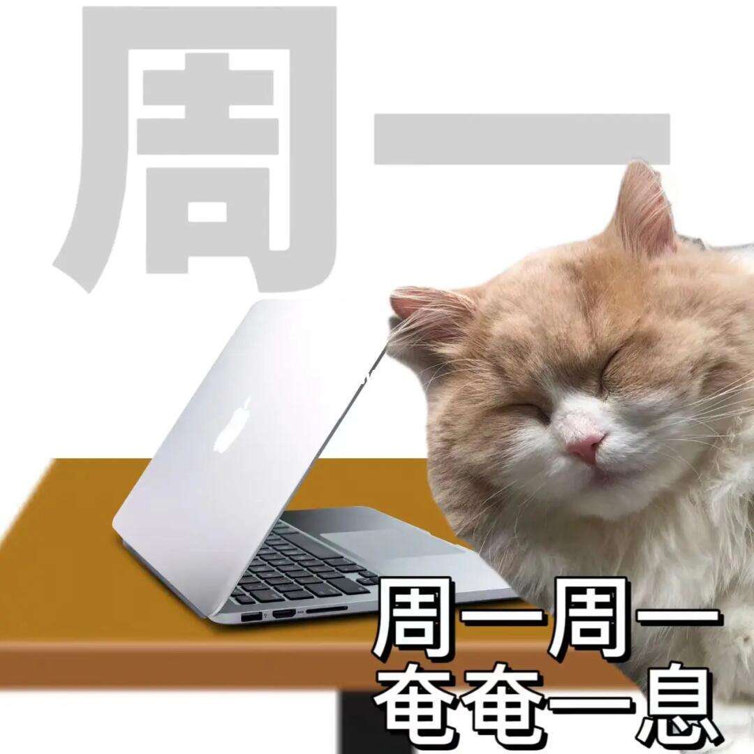 时光流转中的奇妙转折，今天为何感觉像是周一，时光流转中的奇妙转折，周一的今日感悟