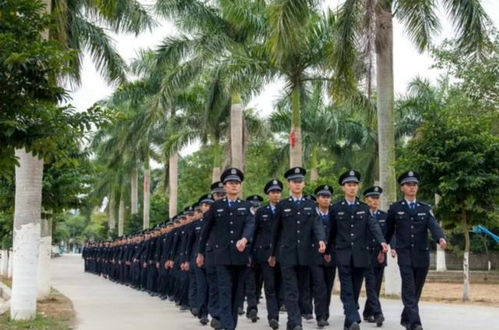 警校的报考条件详解，警校报考条件详解，从入门到精通