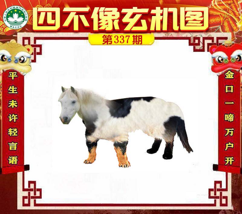 四不像王中王必中一肖——深度解析与探索，四不像王中王必中一肖，深度解读与探索揭秘