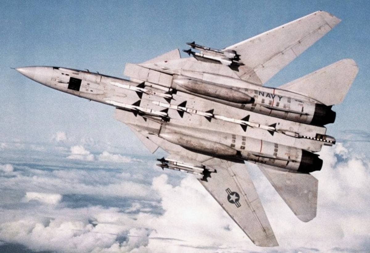 揭秘F-28雄猫战斗机，性能、特点与影响，F-28雄猫战斗机深度解析，性能、特色与战略影响