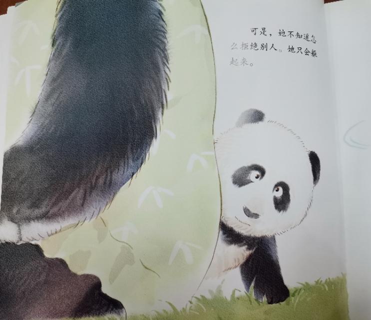 最新消息，熊猫丫丫是否已经回国？，熊猫丫丫最新动态，是否已回国？