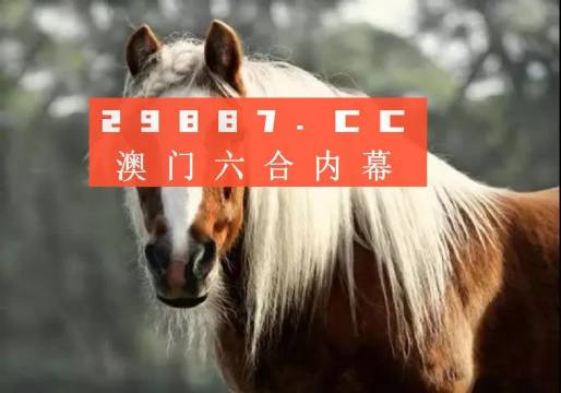 澳门今晚必中一码，探索博彩世界的神秘魅力与策略技巧，澳门博彩探索，神秘魅力与策略技巧揭秘之夜一码必中