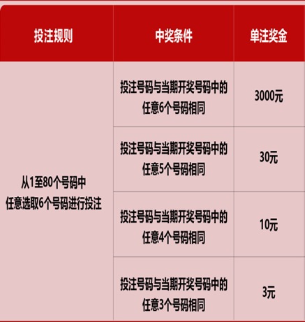 新澳门六开彩天天开奖结果，探索彩票背后的秘密与策略，揭秘新澳门六开彩天天开奖背后的秘密与策略技巧