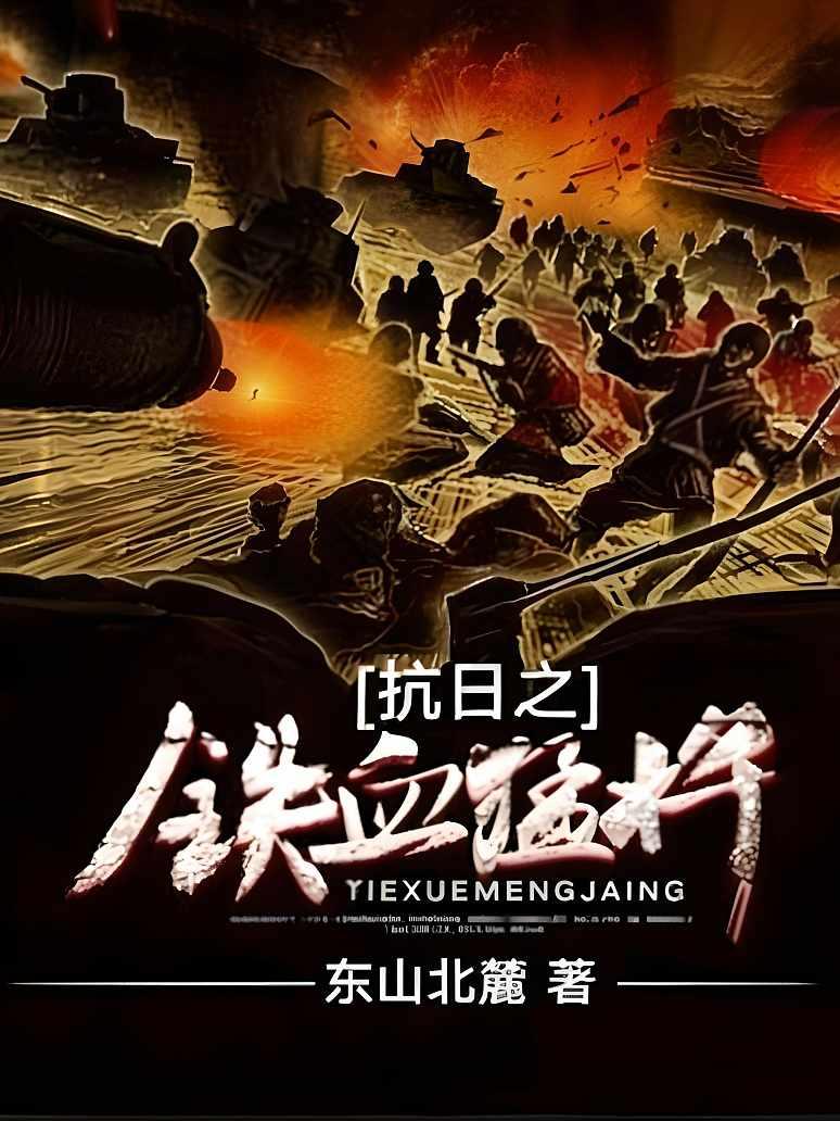 抗战之铁血雄狮，聚合中文网的烽火岁月，烽火岁月，抗战之铁血雄狮的荣耀篇章