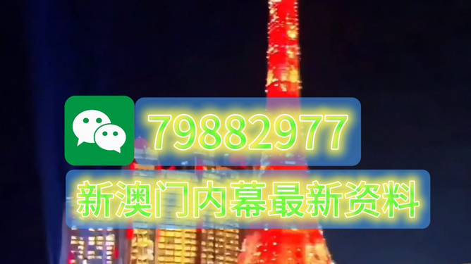 澳门今晚必开一肖一特，揭秘生肖彩票的魅力与策略，澳门生肖彩票揭秘，必开一肖一特的魅力与策略探讨