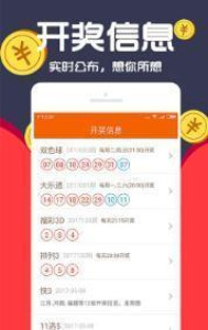 王中王一肖码，深度解析与SEO优化策略，王中王一肖码深度解析与SEO优化策略指南