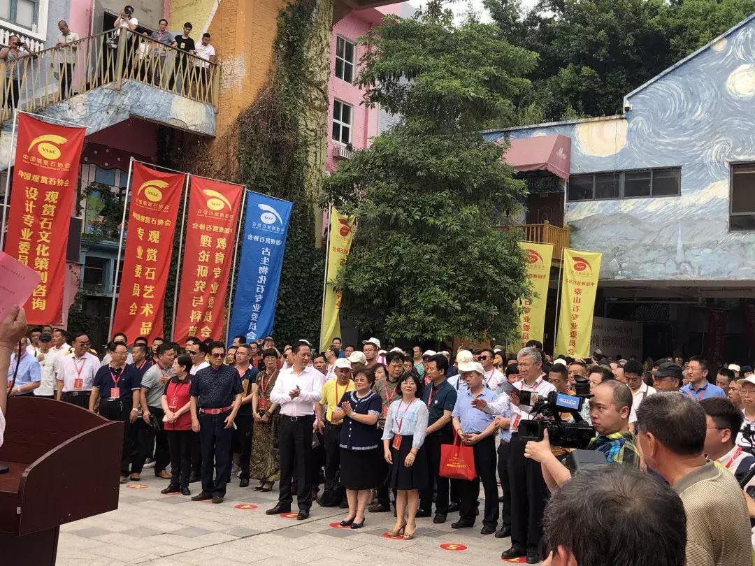 SEO洞察解析