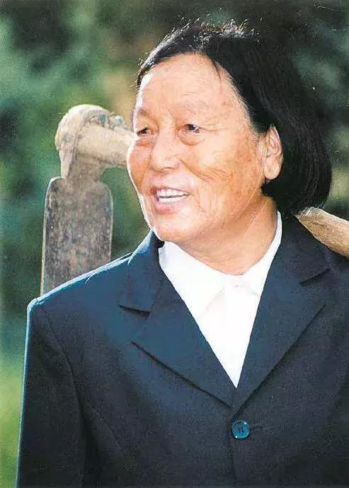 得了共和国勋章有什么好处——荣誉与价值的体现，共和国勋章，荣誉与价值的体现