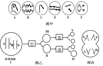 An分别代表什么，全面解析字母An在SEO中的多重含义与用途，SEO中An的多重含义与用途全面解析