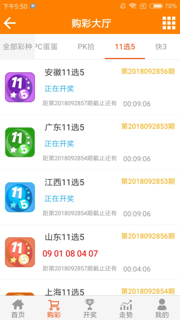 王中王平特一肖期期淮，深度解析与SEO优化策略，王中王平特一肖期期淮深度解析与SEO优化策略探讨
