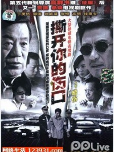 PPTV电视与平使命，现代家庭中的理想选择，PPTV电视与平使命，现代家庭理想之选