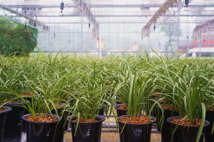 绍兴最新新闻消息，城市动态与发展步伐紧密相连，绍兴城市动态，最新发展消息与蓬勃步伐