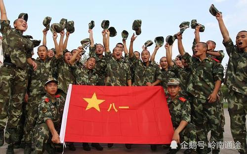 最新军官职业化改革的深度探讨，深度探讨最新军官职业化改革进展
