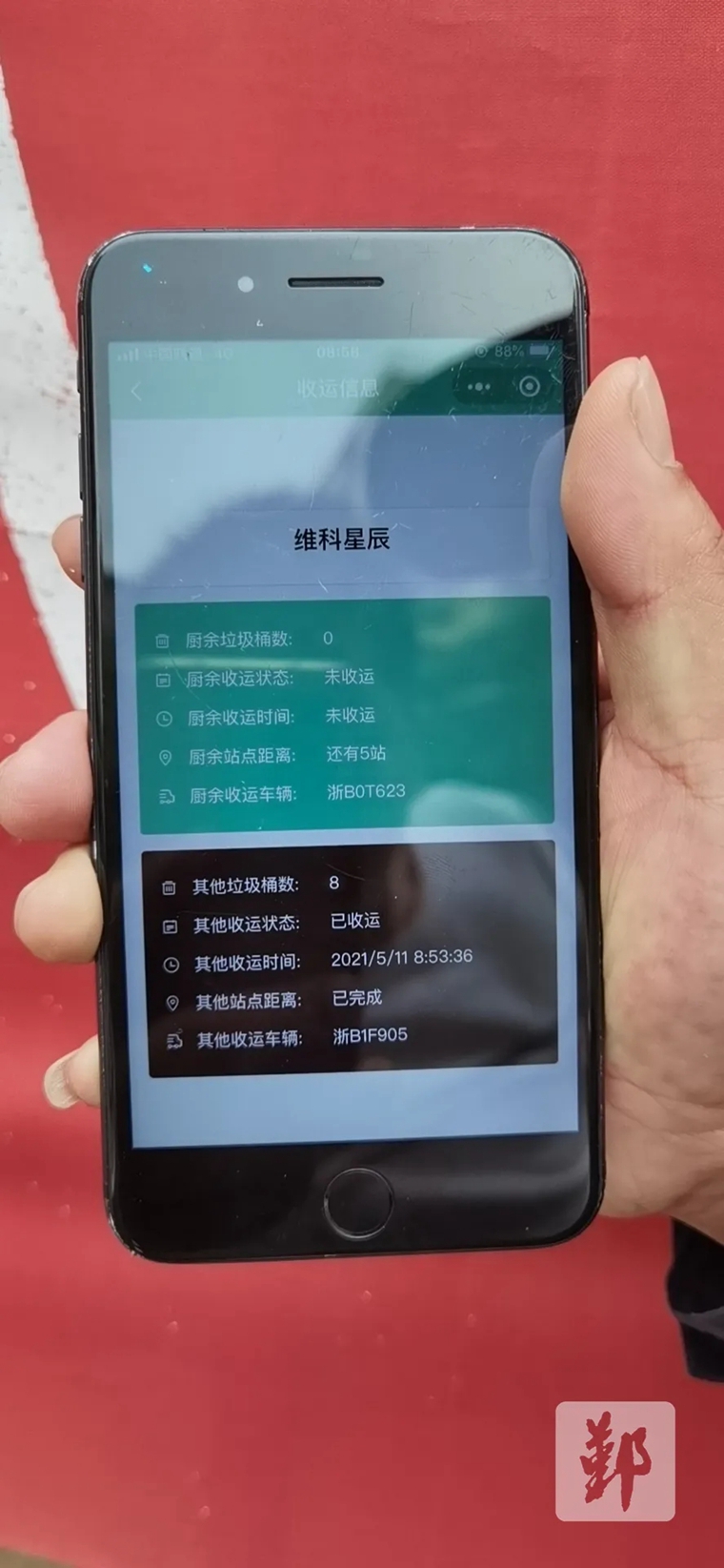 每期一肖一码中一，揭秘彩票背后的秘密与策略分析，彩票背后的秘密与策略分析，每期一肖一码中一揭秘