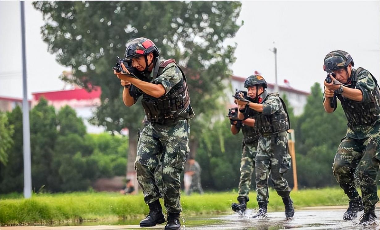 中国陆军兵力概况深度解析，中国陆军兵力概况深度剖析
