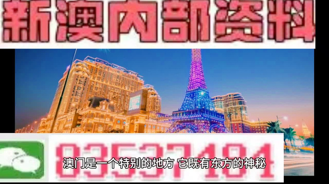 新澳内部资料精准一码，揭秘背后的秘密与策略，揭秘新澳内部精准一码背后的秘密与策略