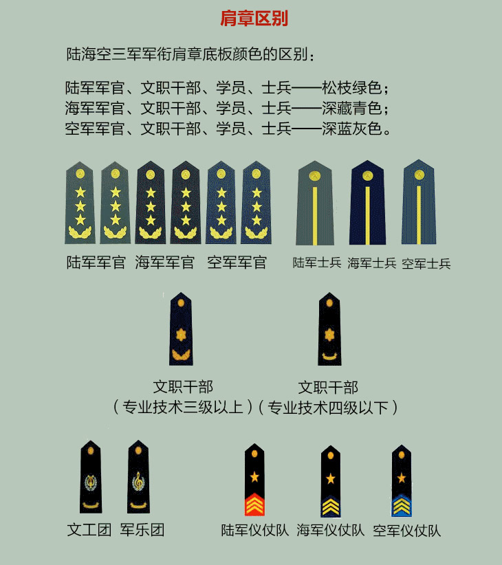军衔等级排名图解，深入了解军队职级体系，军衔等级排名详解，探究军队职级体系全貌