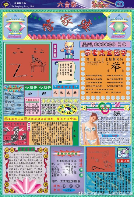 揭秘六开彩王中王平持一肖图的奥秘，揭秘六开彩王中王平持一肖图的秘密
