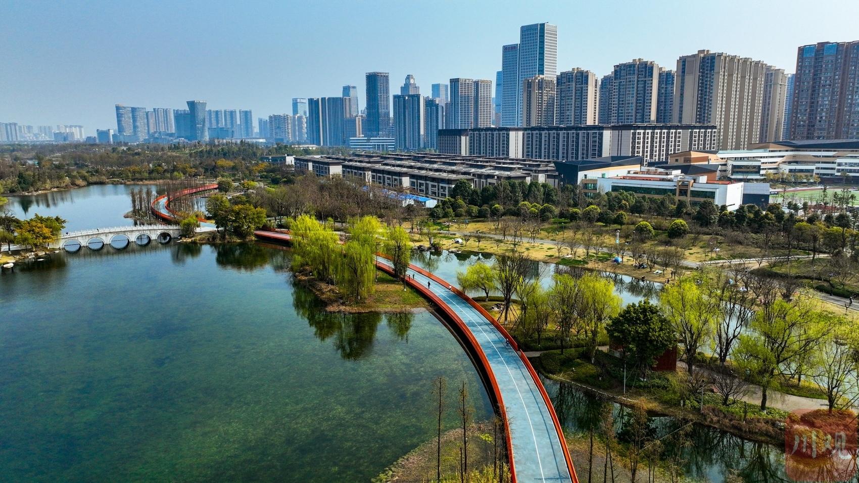 新闻发布权限，掌握权限，有效传播信息，新闻发布权限，掌握信息传播的关键力量