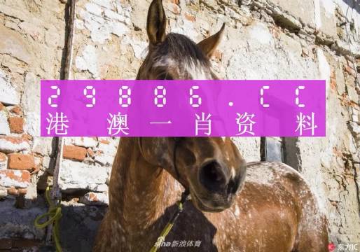 王中王一肖中特马，探索关键词背后的奥秘，王中王一肖中特马，揭秘关键词背后的奥秘