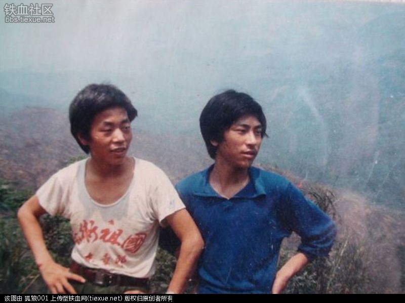 珍藏历史记忆，探寻十四军三十一师照片大全，珍藏历史记忆，十四军三十一师珍贵照片集探寻