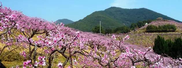 中国海峡两岸，共创繁荣与和平的未来，海峡两岸共创繁荣与和平的未来愿景