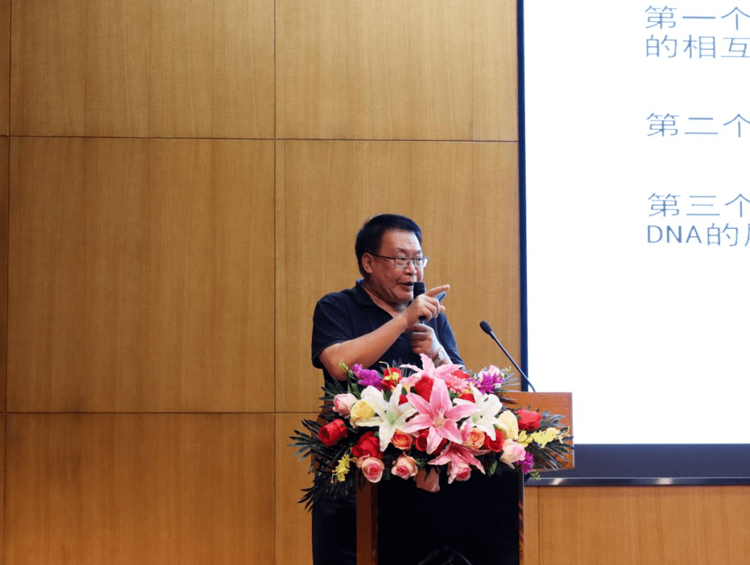兵心飞翔网络军营论坛，连接战士与技术的桥梁，兵心飞翔网络军营论坛，战士与技术的桥梁