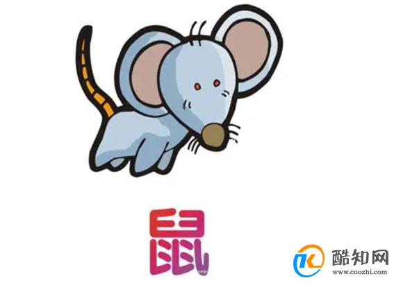 澳门老鼠报一肖一码——探寻背后的神秘与真相，澳门老鼠报一肖一码背后的神秘与真相揭秘