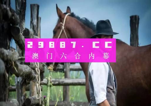 澳门内部资料精选大全，深度探索与独特视角，澳门内部资料精选深度探索与独特视角