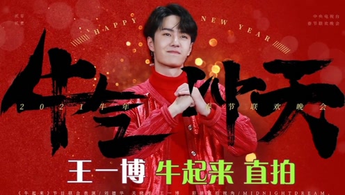 揭秘王中王，一肖中特的秘密与策略，揭秘王中王，一肖中特的秘密与制胜策略