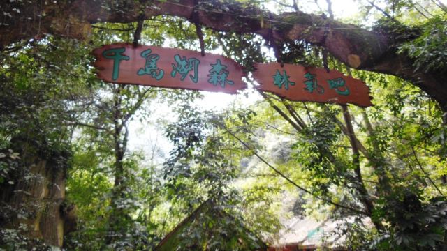 千岛湖森林氧吧，自然之韵，生态之旅，千岛湖森林氧吧，自然生态之旅，领略自然之韵