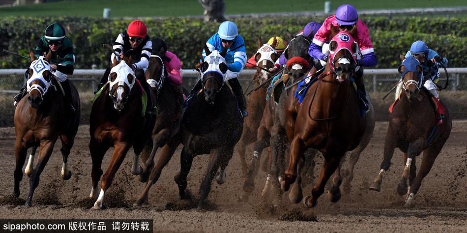 黄大仙王中王一肖，神秘的信仰与SEO解读，黄大仙王中王一肖，神秘信仰与SEO的解读之谜