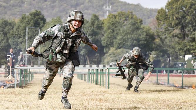 网军是什么兵种，深入解析网络战场的新兴力量，网军，网络战场的新兴力量全面解析
