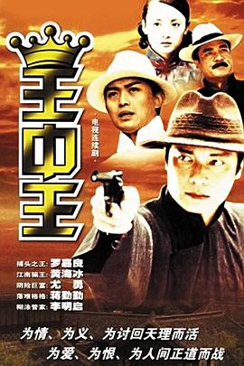 王中王资料解析