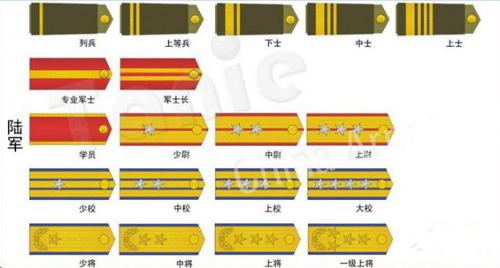 中国武警军衔等级排名详解，中国武警军衔等级详解排名