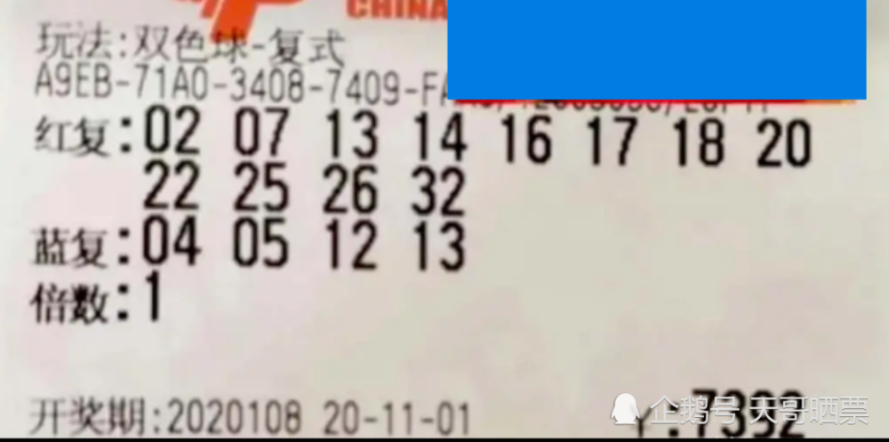 澳门六开奖结果深度解析