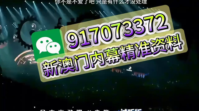王中王096期偷一生肖，深度解析与SEO优化指南，王中王096期生肖预测与SEO策略优化指南