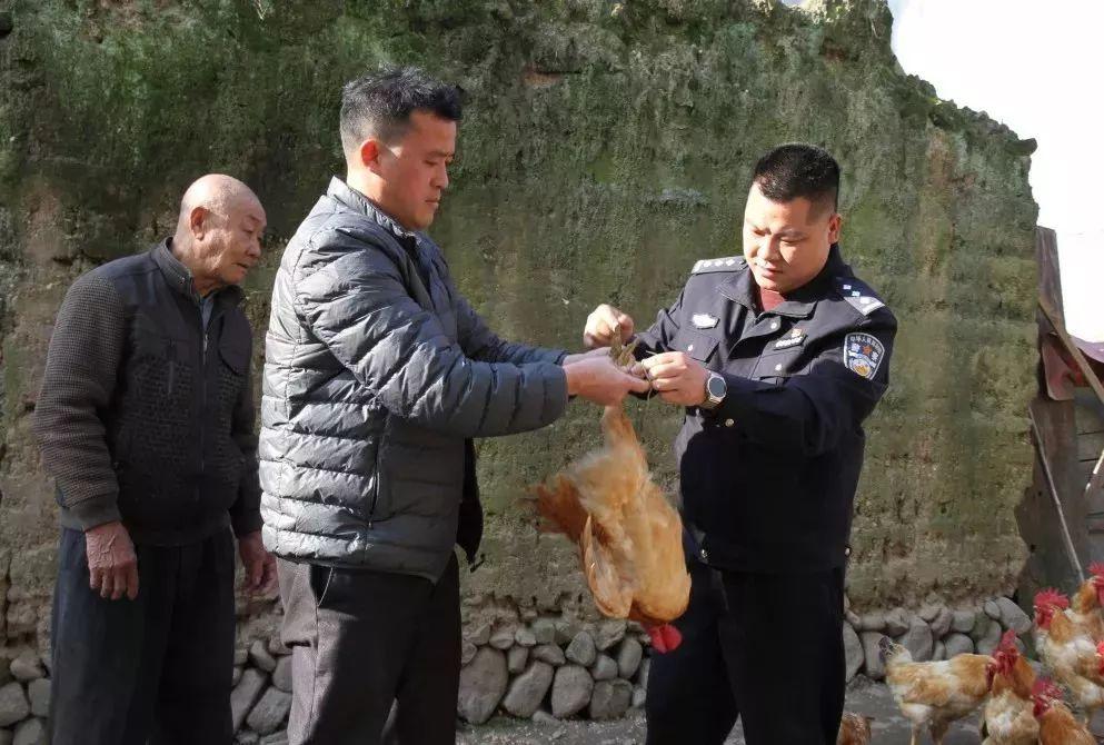 精准一肖，揭秘免费预测背后的秘密，揭秘精准预测生肖背后的秘密，免费预测背后的真相探索
