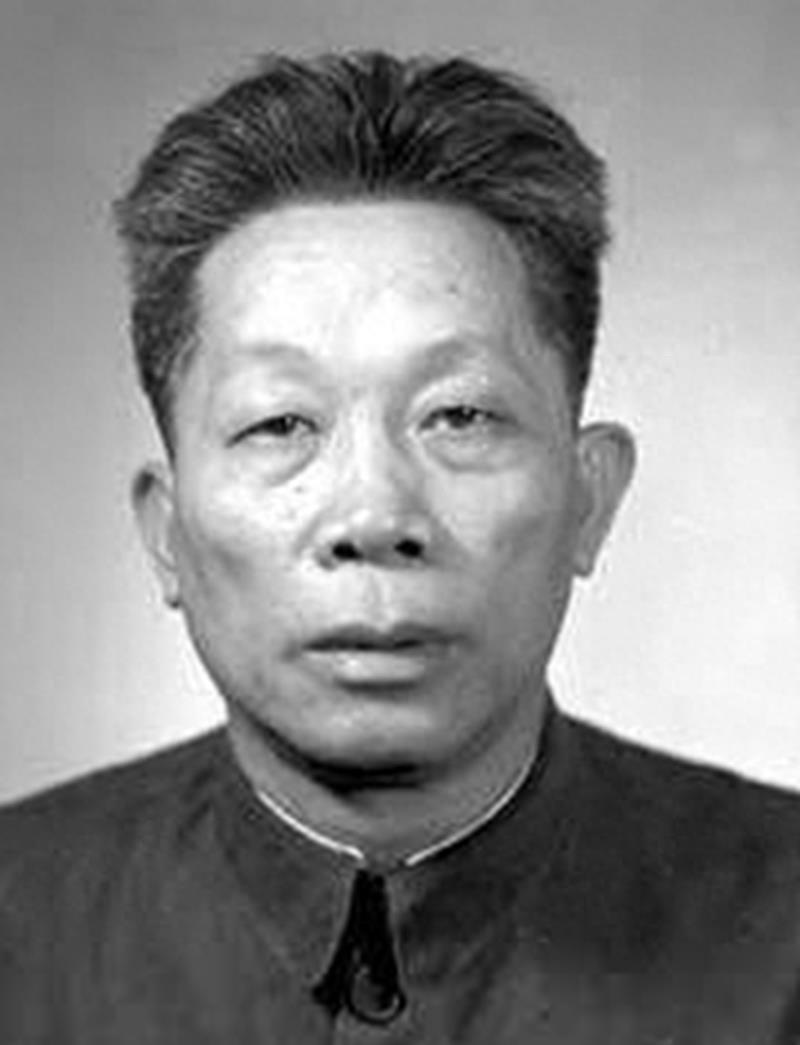 国家勋章待遇规定的深度解读，国家勋章待遇规定的深度解读与解析