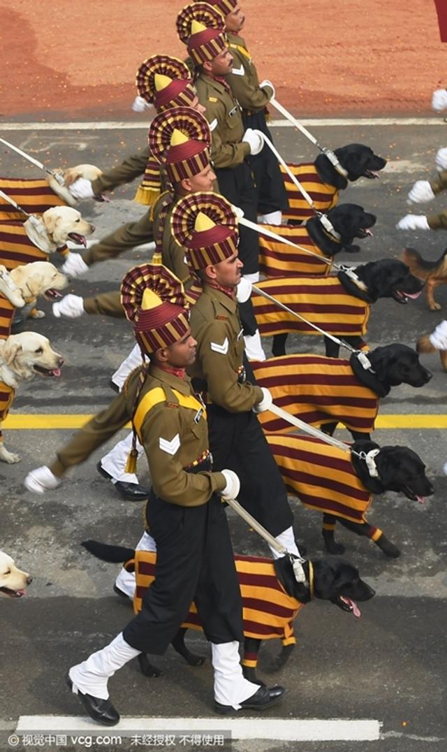 阅兵奇观，哪个国家的阅兵仪式最独特？，全球阅兵奇观，独特阅兵仪式大比拼